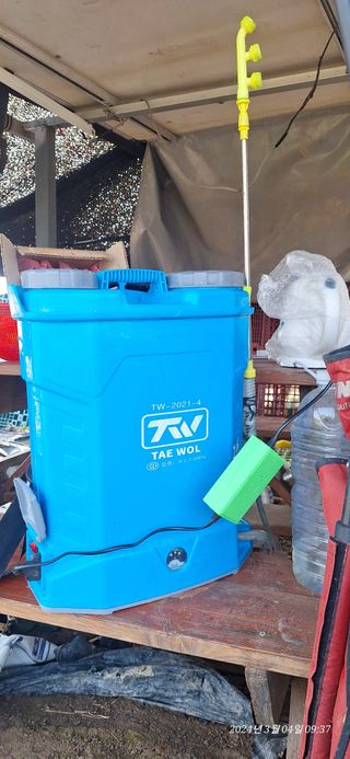 로즈마리님의 마늘 · 영농일지 작성글 사진