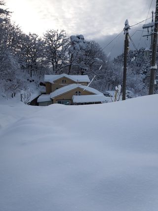 강정희님의 기타작물 · 자유게시판 작성글 사진