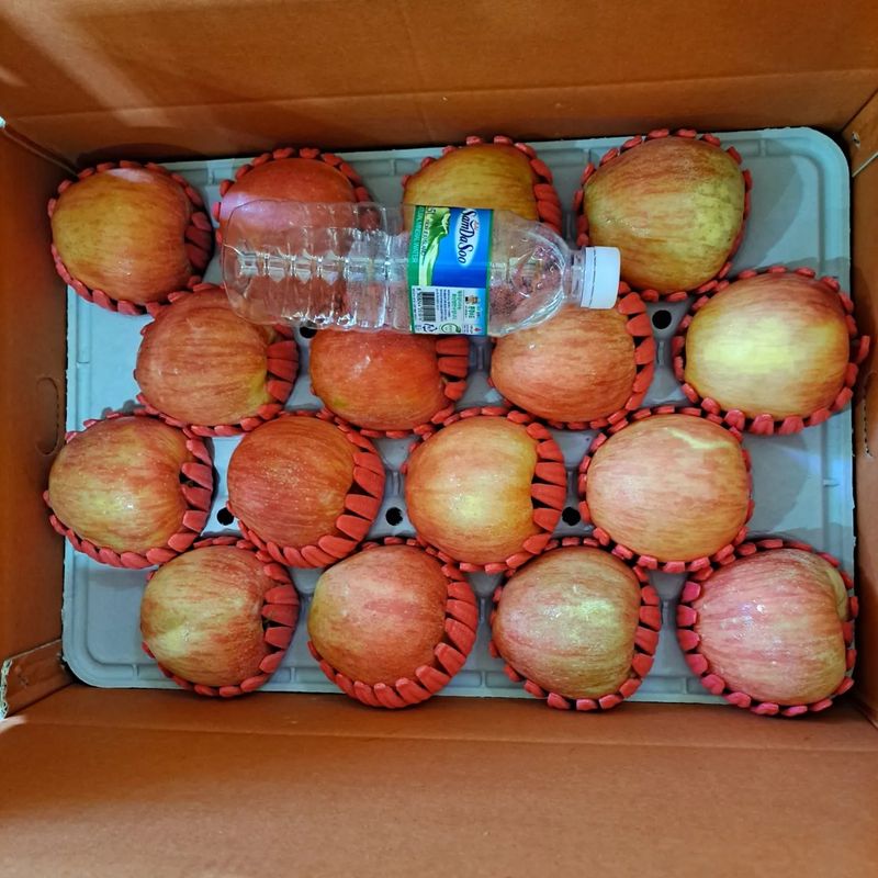 장터 상품 [밀양 얼음골 사과 ] 썸네일