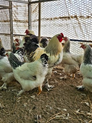 제이팜님의 작성글 사진