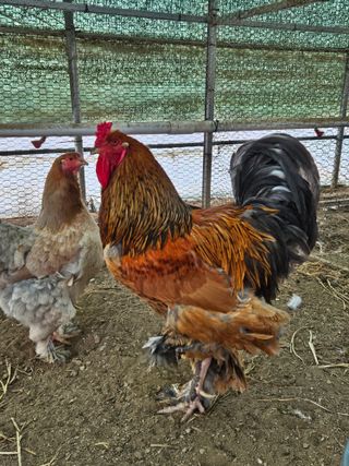 제이팜님의 작성글 사진