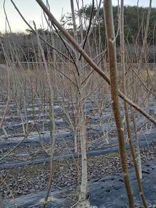 신명옥님의 작성글 사진