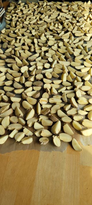 박영준님의 감자 · 자유게시판 작성글 사진