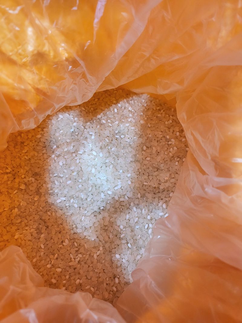 장터 상품 [맛있는 향이나는 누룽지쌀 20kg] 썸네일