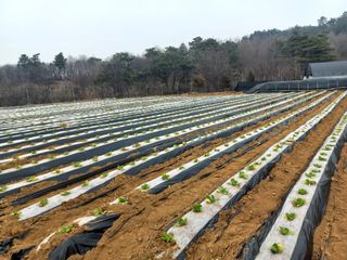 알 수 없음님의 기타작물 · 자유게시판 작성글 사진
