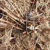 팜모닝 · 게시글 이미지