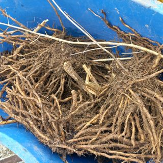 김상선님의 작성글 사진