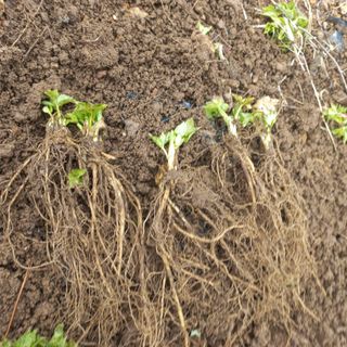 김상선님의 작성글 사진