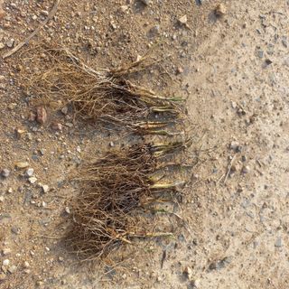 김상선님의 작성글 사진