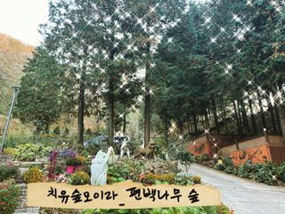 치유숲모이라양재순님의 자유주제 · 자유게시판 작성글 사진