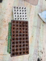 팜모닝 고추·영농일지 게시글 이미지