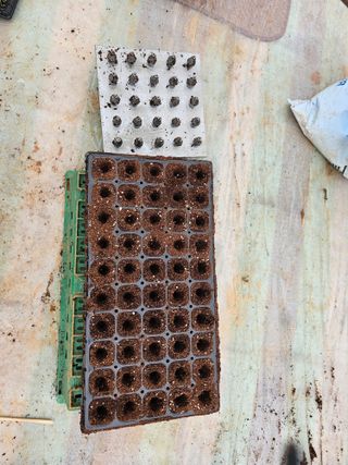 엘도라도님의 고추 · 영농일지 작성글 사진