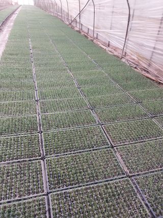 당진시 옥수수님의 자유주제 · 자유게시판 작성글 사진