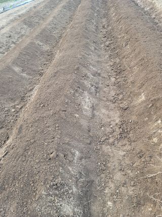 둥근마지기님의 기타작물 · 자유게시판 작성글 사진