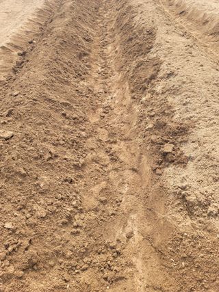 둥근마지기님의 기타작물 · 자유게시판 작성글 사진