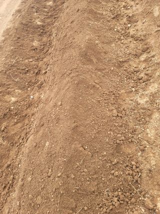 둥근마지기님의 기타작물 · 자유게시판 작성글 사진