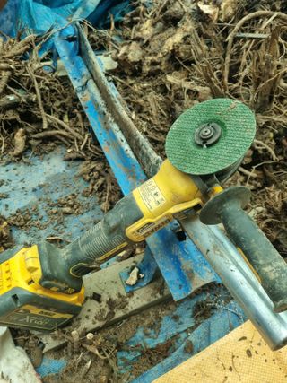 이호성님의 두릅 · 품종•종자 작성글 사진