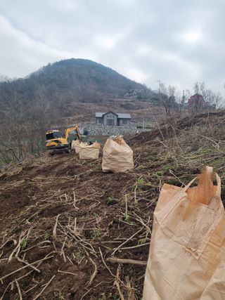 이호성님의 두릅 · 품종•종자 작성글 사진