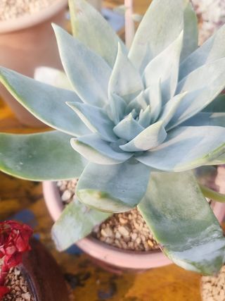 이연옥님의 자유주제 · 자유게시판 작성글 사진