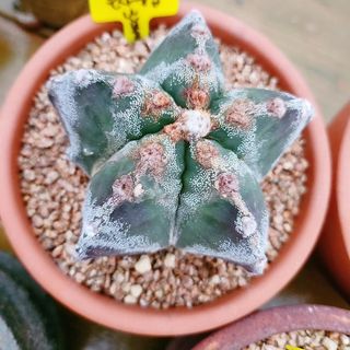 이연옥님의 자유주제 · 자유게시판 작성글 사진