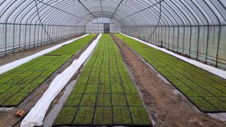 곽행남님의 파 · 자유게시판 작성글 사진