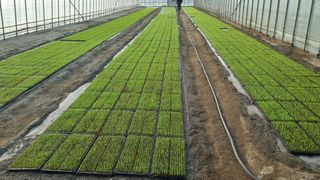 곽행남님의 파 · 자유게시판 작성글 사진