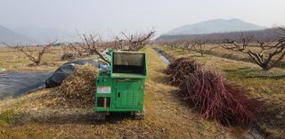 문병준님의 매실 · 자유게시판 작성글 사진