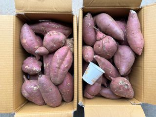 이영민님의 작성글 사진