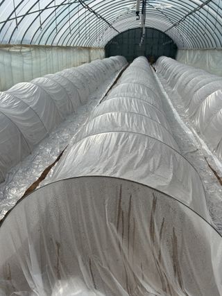 이영민님의 작성글 사진