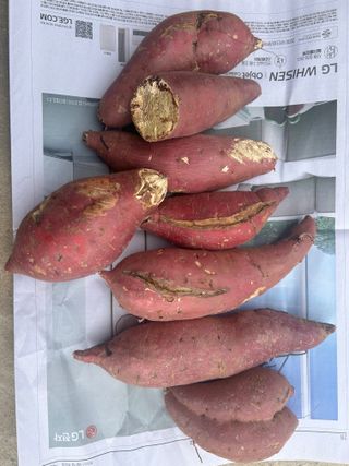 이영민님의 작성글 사진