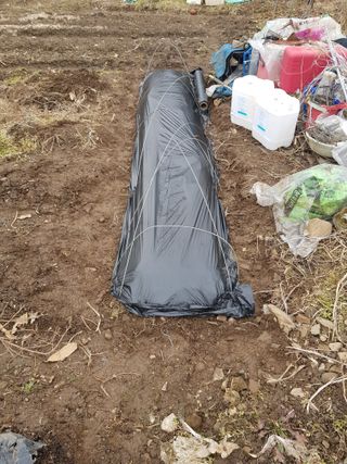 jun님의 상추 · 영농일지 작성글 사진