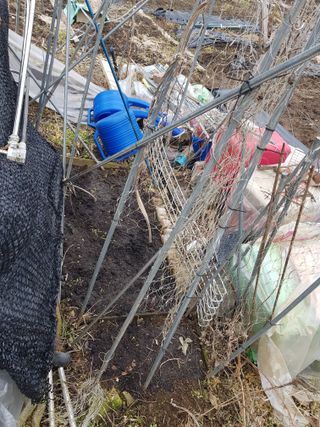 jun님의 상추 · 영농일지 작성글 사진