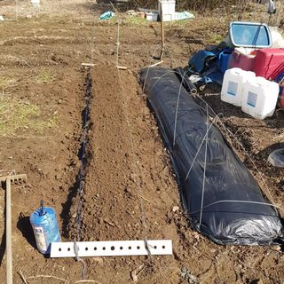 jun님의 상추 · 영농일지 작성글 사진