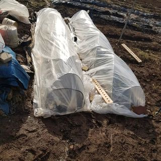 jun님의 상추 · 영농일지 작성글 사진