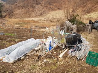 jun님의 기타작물 · 영농일지 작성글 사진