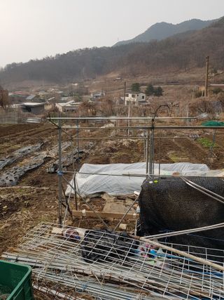 jun님의 기타작물 · 영농일지 작성글 사진