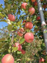 팜모닝 자유주제·칭찬해요 게시글 이미지