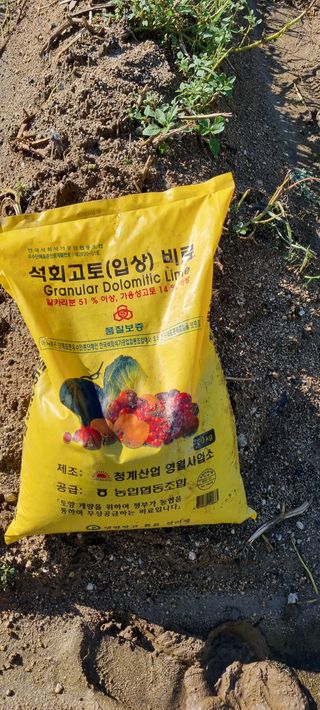 대삼팜스빌리지님의 기타작물 · 병해충상담 작성글 사진