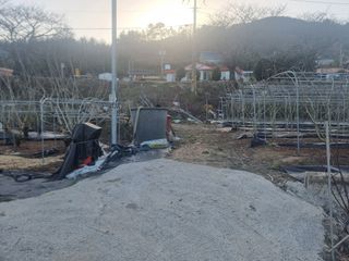 정영기대산축산농부♡님의 기타작물 · 영농일지 작성글 사진