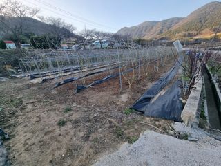 정영기대산축산농부♡님의 기타작물 · 영농일지 작성글 사진