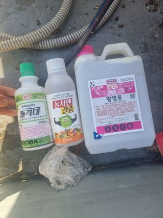 정영기대산축산농부♡님의 기타작물 · 영농일지 작성글 사진