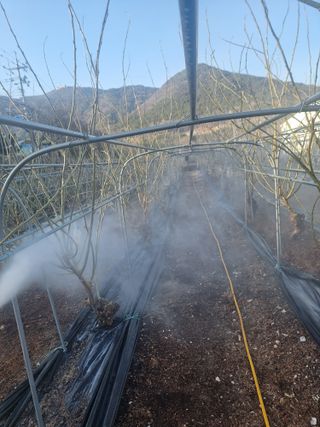 정영기대산축산농부♡님의 기타작물 · 영농일지 작성글 사진