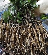 팜모닝 · 게시글 이미지