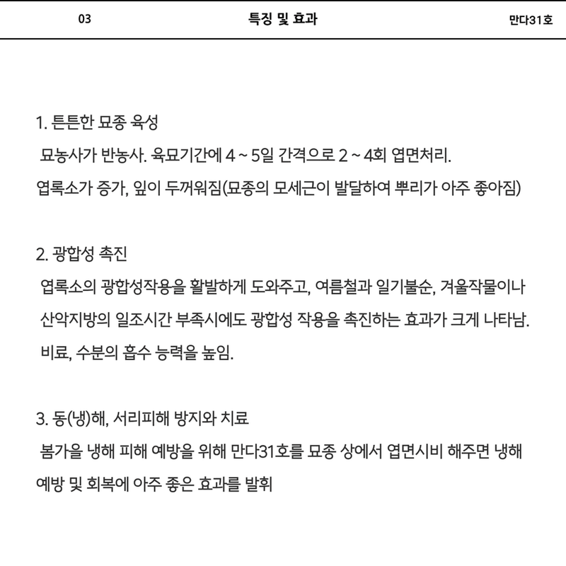 삼익농자재님의 장터 판매 상품 [만다31호 벼 감자 인삼 대파 양파 마늘 효소영양제] 첨부 사진