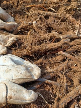 무료지식나눔 팜닥터님의 작성글 사진