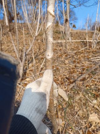 무료지식나눔 팜닥터님의 작성글 사진