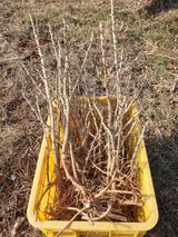 팜모닝 자유주제·자유게시판 게시글 이미지