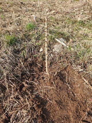 다온아띠농원 장현호님의 자유주제 · 자유게시판 작성글 사진