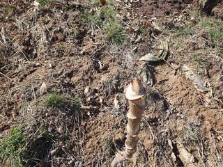 다온아띠농원 장현호님의 자유주제 · 자유게시판 작성글 사진