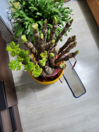 성낙신 님의 자유주제 · 자유게시판 작성글 사진